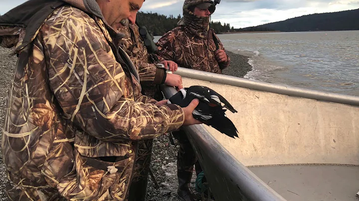 Alaska Sea Duck Hunt - Harlequin - Plus AWESOME Dr...