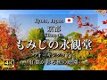 "もみじの永観堂"｜秋の紅葉の京都観光｜The Beautiful Autumn Foliage of Eikando(Zenrin-ji Temple) | 美麗的永觀堂秋葉 [4K]