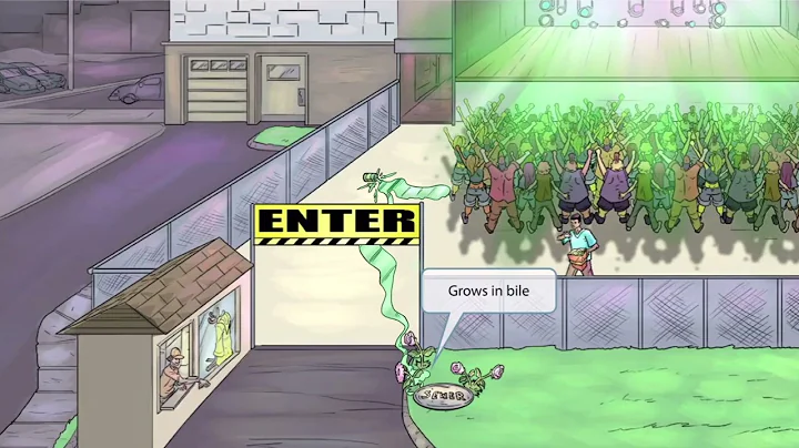 Enterococci for the USMLE Step 1