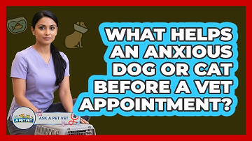 What Helps An Anxious Dog Or Cat Before A Vet Appointment? - Ask A Pet Vet