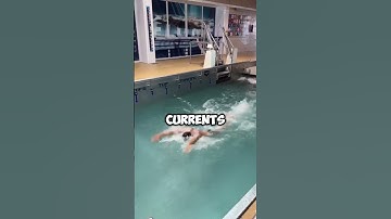 Treadmill For Swimmers (@clem_secchi)