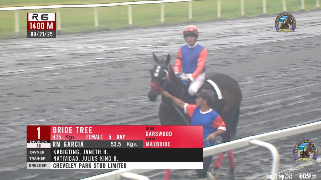 2025 Sept 21 | R06 - BRIDE TREE (1) (