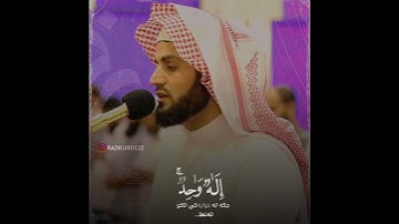 تلاوة الخاشعة بصوت رعد الكردي حالات واتس اب راحة نفسیة