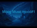 Moog Muse evening mood # 1