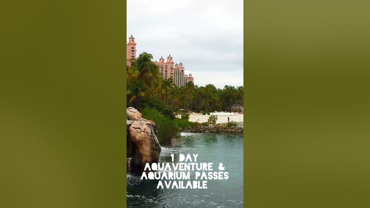 Atlantis Bahamas Day Pass 2022 YouTube