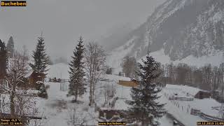 Bucheben: December 10, 2019
