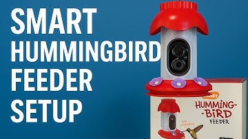 isYoung Smart Hummingbird Feeder Setup | Full Installation & Tips