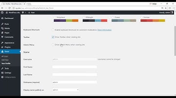 Admin Menu in Frontend WordPress Plugin