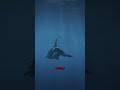 This Plant Turns You Into a Killer Whale in GTA 5!