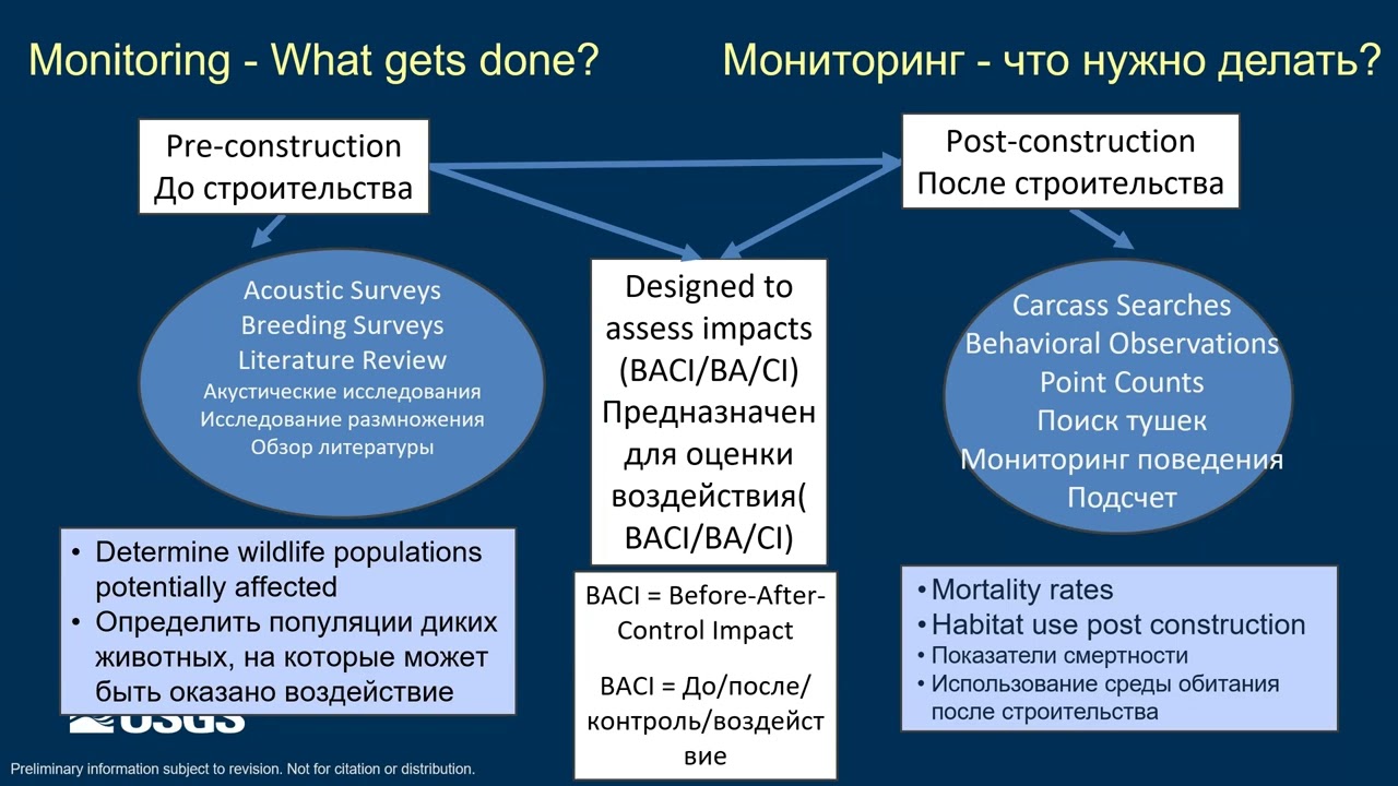 Мониторинг смертности птиц и летучих мышей после строительства ВЭС (синхронный перевод)