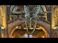 🌍 Exploring the Wonders of the Natural History Museum #Dinosaurs #Fossils  #museumtour #science