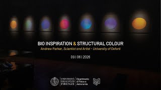 Bio Inspiration & Structural Colour