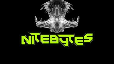 nitebytes i forgot
