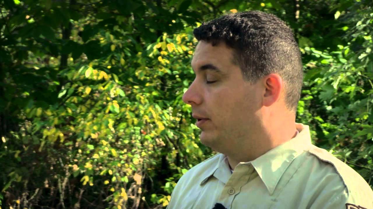 riverdale Harvesting Timber Near Streams and Rivers | Indiana DNR