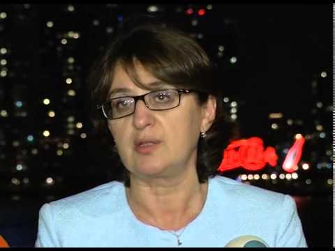 პრემიერის გამოსვლის შეფასება