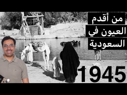 عين الحارة في الاحساء المبرز تقرير قناة الواحة 