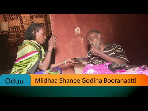 Miidhaa Shanee Godina Booranaatti