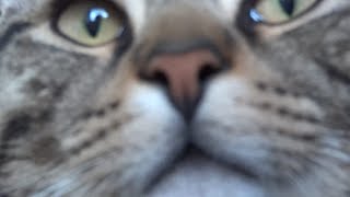 Hallo? Can you hear me?