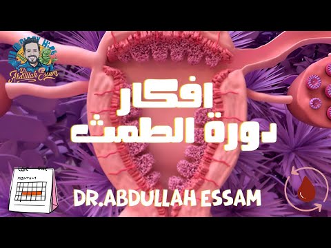 التكاثر في الإنسان أفكار دورة الطمث حصة مهمة جد ا الصف الثالث الثانوي 