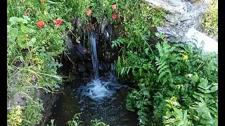 Beira Baixa... Castelo Branco, aldeia de Lentiscais 2016