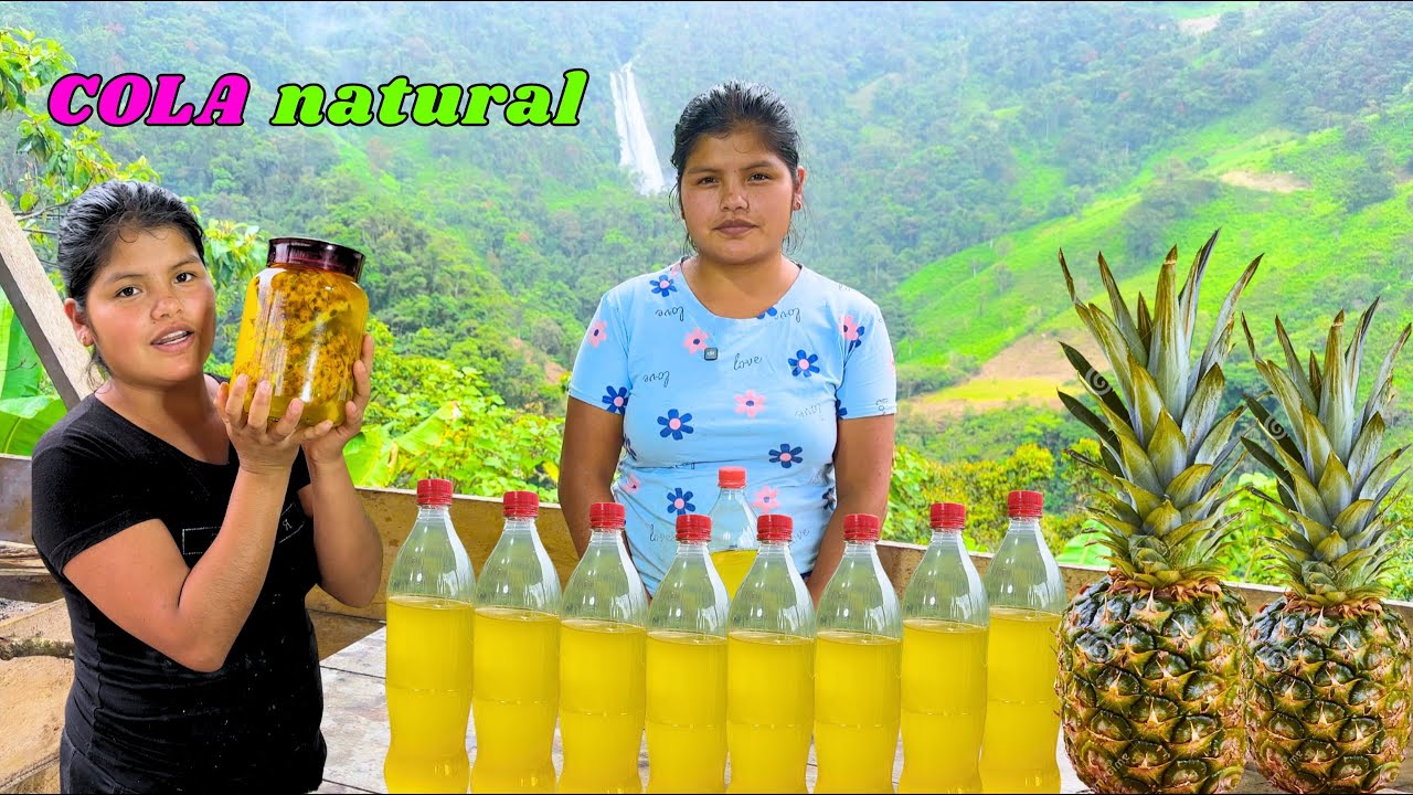 GASEOSA casera sabor a PIÑA que puedes preparar en casa - NATHALIA