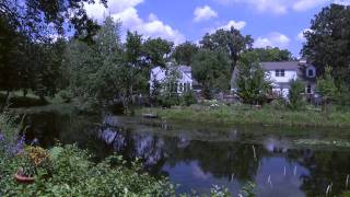 Wetland Buffer PSA
