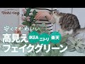 あると無いとじゃこんなに違う。インテリアを格上げする買ってよかったフェイクグリーン／ニトリ／IKEA／楽天／50代主婦