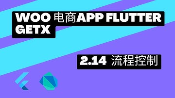 2022 Flutter Course - Full Tutorial For Beginners Getx Woocommerce App 从零开始实战课程 | 2.14 Dart 流程控制