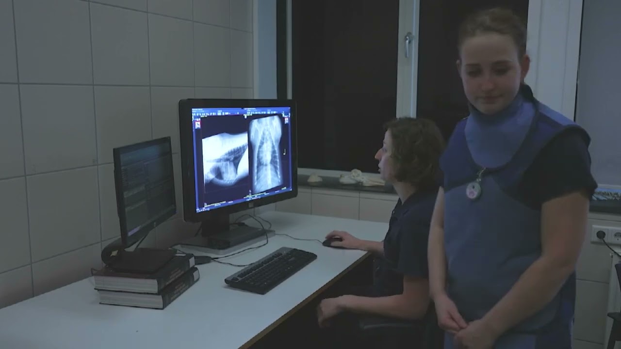 Slikfilm laten maken bij het Universitair Dierenziekenhuis