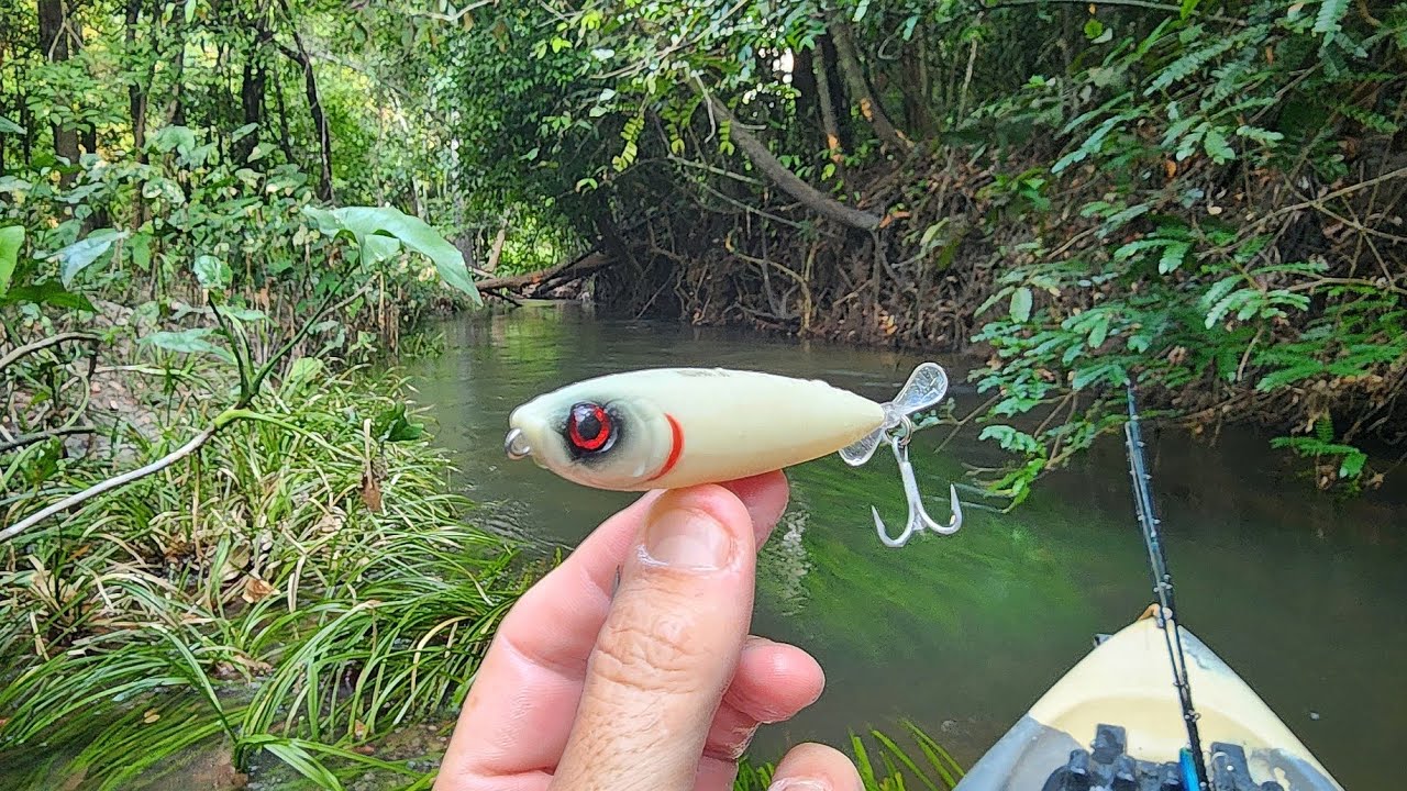 QUEIMEI MINHA LÍNGUA! NUNCA SUBESTIME UMA ISCA ANTES DE USAR... Pescaria.