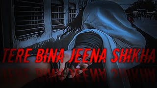 Chale Jana Phir (Humko Tere Bina Jeena To Shikha) Lofi Official Song| Pari Lofi Resimi