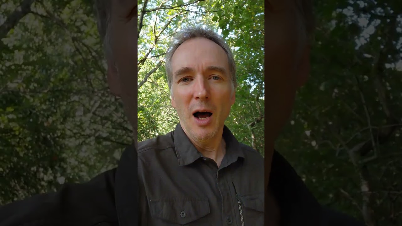 Why I need your number 1 vote!