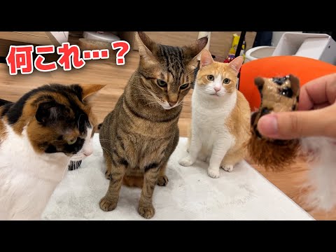 押し入れの奥から絶妙に気持ち悪い猫のおもちゃが発掘されました