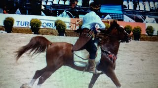 Tarihi Cevir - Mehter Bolugunun Sarkisi - Mehteran Gorsel : Atli Okcu (Kemankes) Sporcusu - Turkiye Resimi