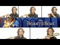 Tale As Old As Time from Beauty and the Beast - Flute Cover