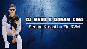 Dj Sinso x Chinese Salt || Viral Tiktok || Choreo by Zin RVM
