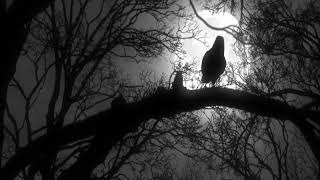 Watch Goatmoon Eclipsed By Raven Wings video