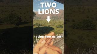 Dropping TWO LIONS with a BOW 🦁🦁🏹 | theHunter: Call of the Wild