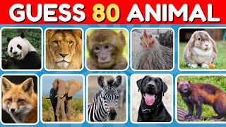 Guess 80 Animal in 5 Second | Easy, Medium, Hard, Impossible | Quiz Bar