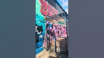 some Ogden Utah Murals #munzeemonthlymoments