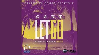 Смотреть клип Can'T Let Go (Faydee Vs Tempo Elektrik) (Tempo Elektrik Refix)