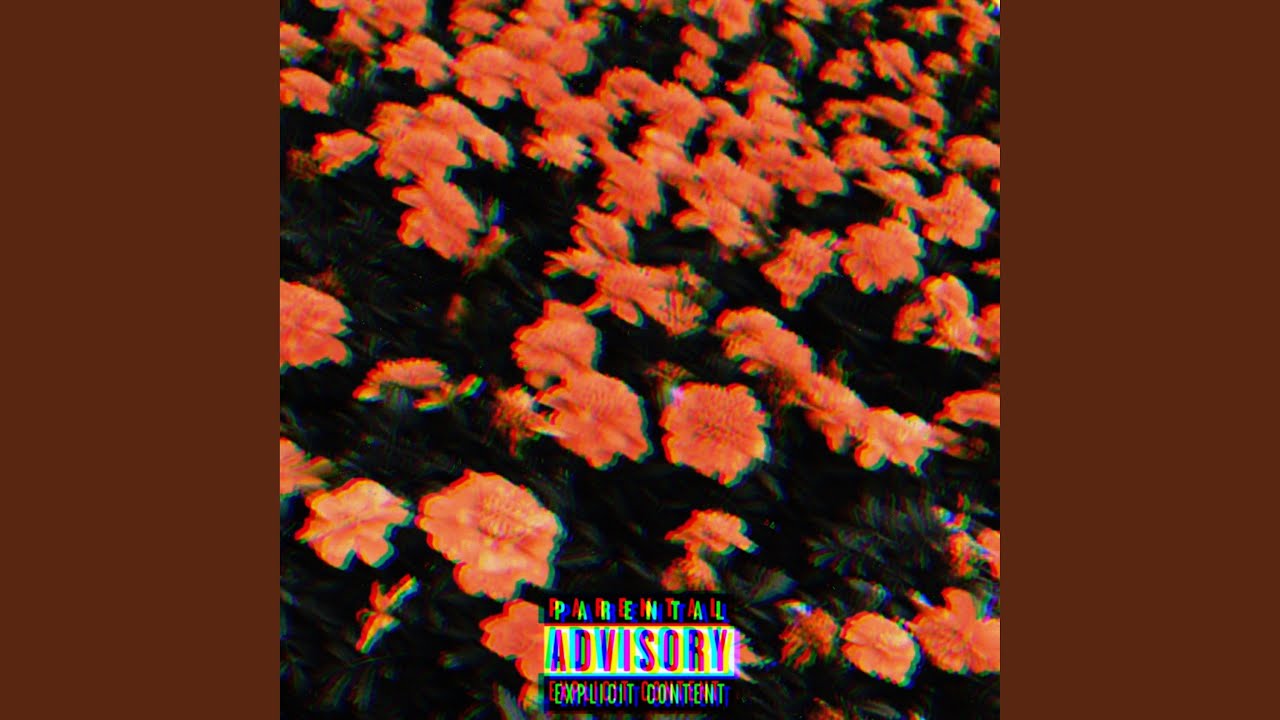 Watch Carnation on YouTube Watch Carnation on YouTube