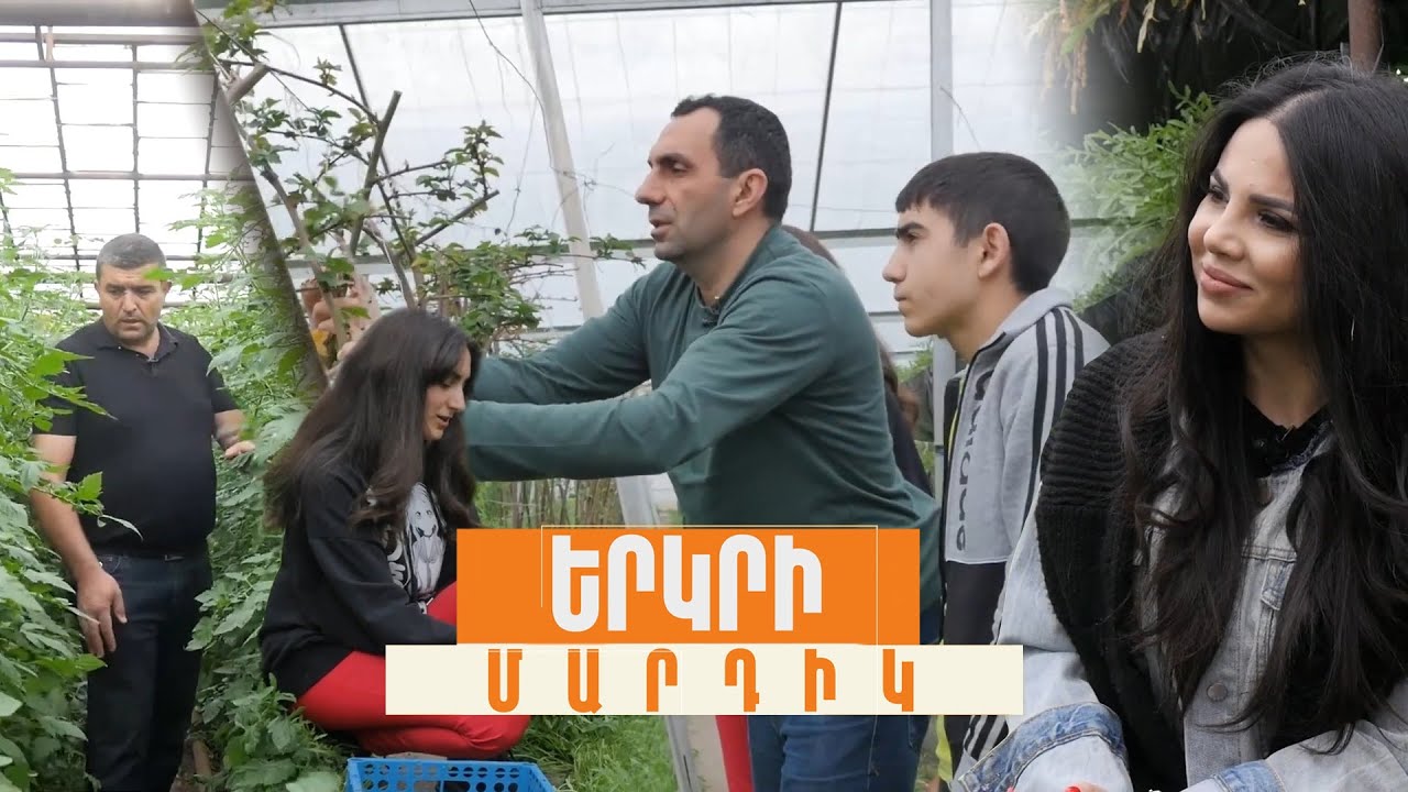 Ժամանակակից ջերմոցներն ու ջերմոցատերերը․ Թուրքիայից բերված ելակը մեր շուկայում