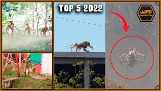 Top 5 Mysterious Creatures Caught on Camera in real life 2022