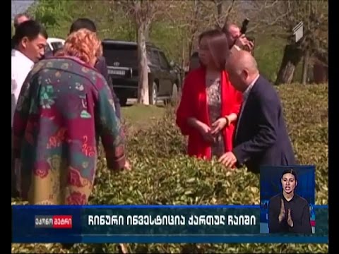 ჩინური ინვესტიცია ქართულ ჩაიში