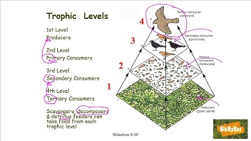 L.C. Biology #4 Principles of Ecology