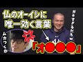 温厚なオーイシマサヨシに唯一&quot;効いてしまう&quot;言葉が発見され、加藤純一思わず沼笑い(2020.10.28放送)【ピザラジ 切り抜き】