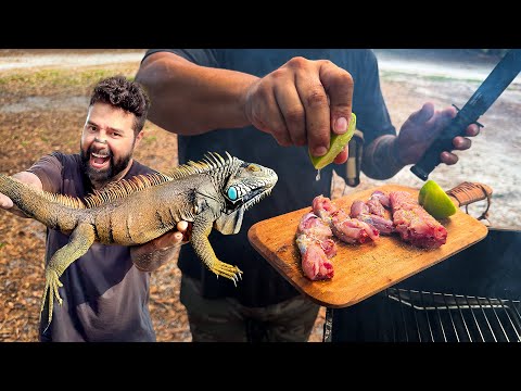 Caça de iguanas, Fritei ela no tempero dos Chefes