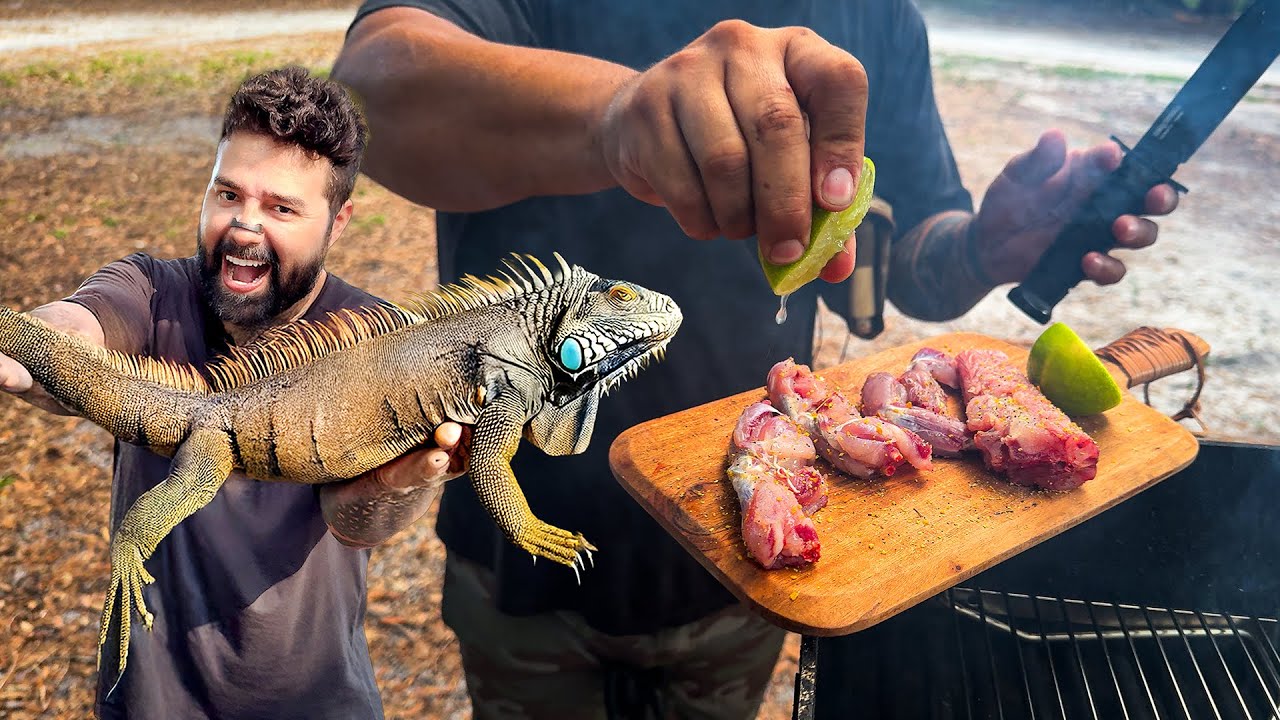 Caça de iguanas, Fritei ela no tempero dos Chefes
