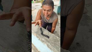 Download Lagu Screaming siposan #shorts #trending #funny #subscribe MP3